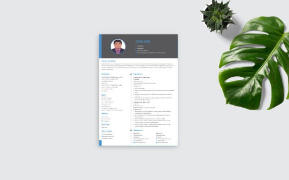 Download Modern Minimal Resume Template - Premium Bundle